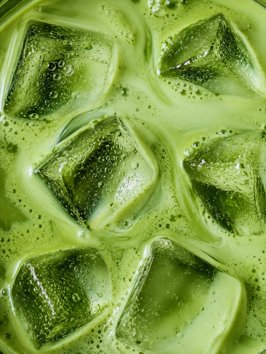 Matcha Cérémonie "Premium"